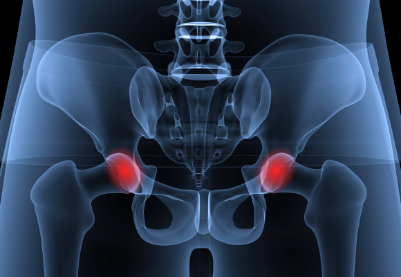 hip joint